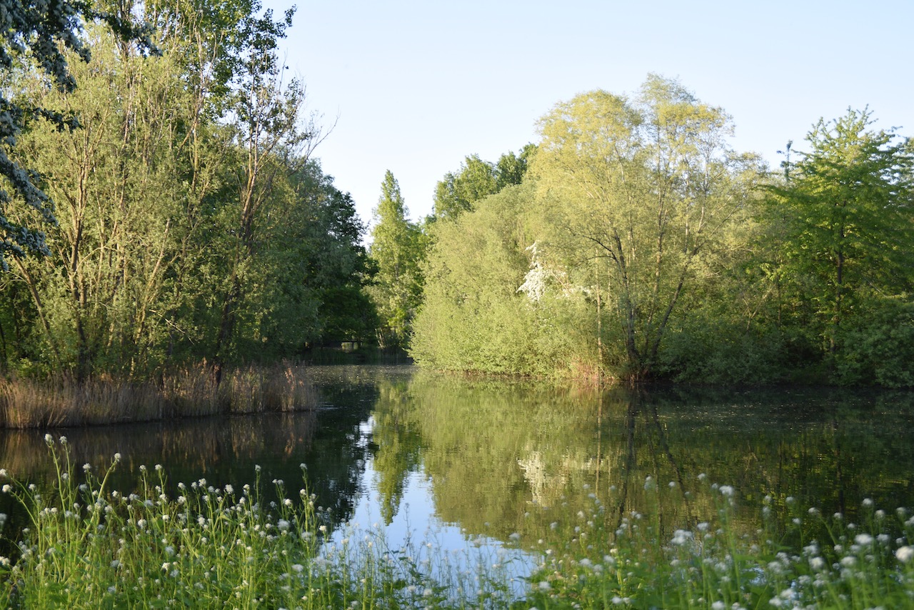 Poppy Hill – Letchworth Garden City Angling Association